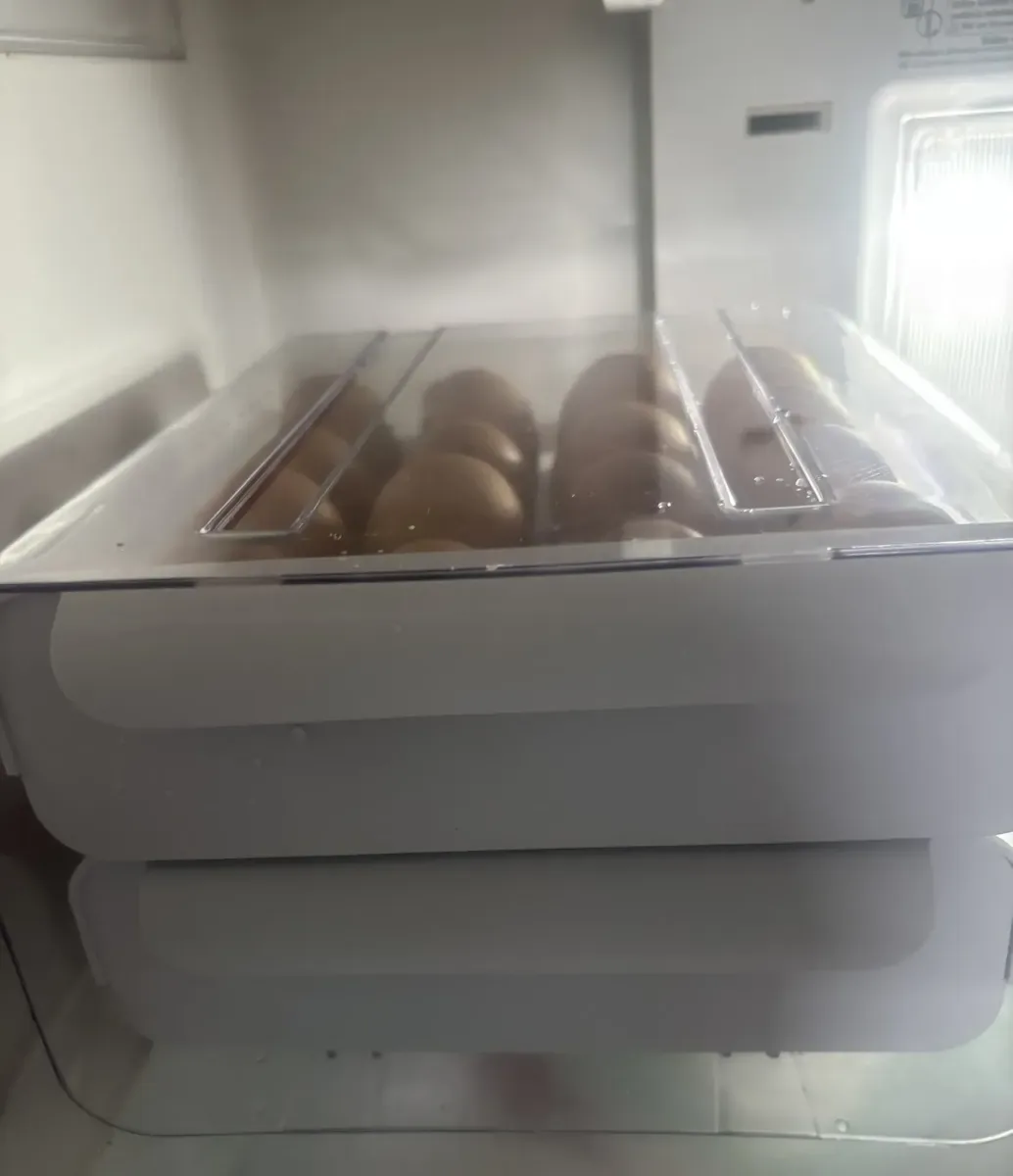 Organizador de ovos na geladeira 7