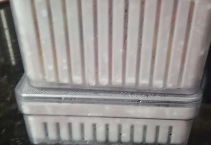 Avaliação de cliente dos organizadores de geladeira 4