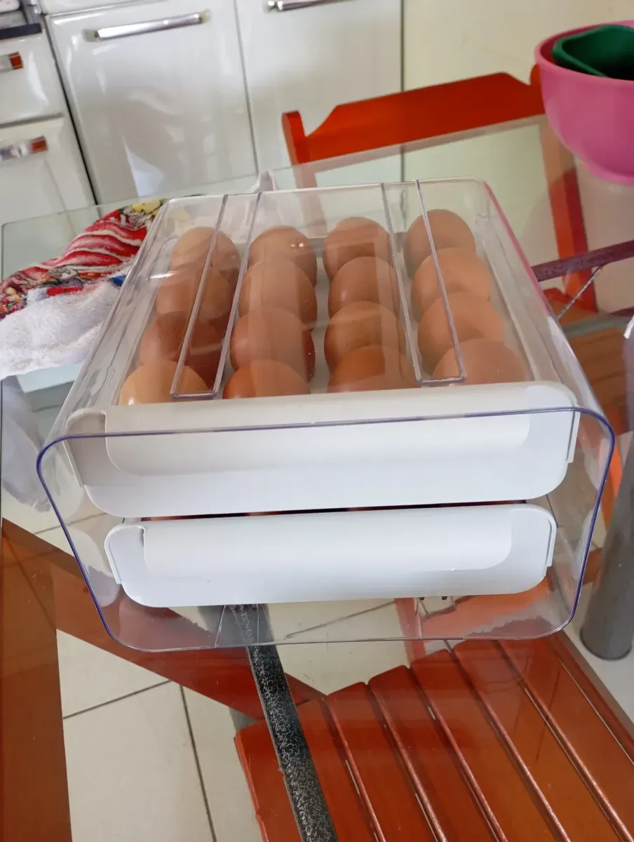 Organizador de ovos na geladeira 5